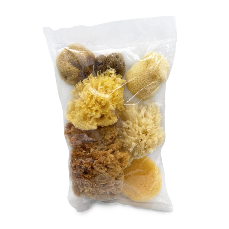 Natural Sea & Synthetic Sponges - Assorted Sizes 7pc Value Pack for Crafts & Artists: Great for Painting, Hobbies, Art, Effects, Ceramics, Clay, Pottery by Lullingworth® - NewNest Australia