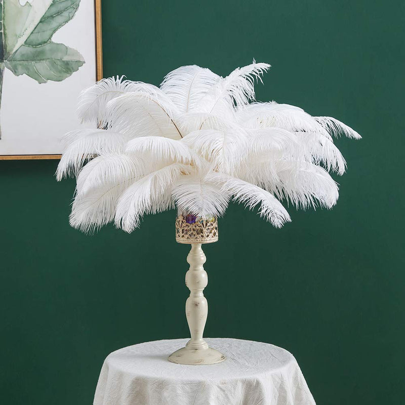 16-18 inches (40~45cm) Real Natural Ostrich Feathers Bulk White,Great Decorations for Christmas Halloween Home Party Wedding Centerpieces (10) White 10pcs - NewNest Australia