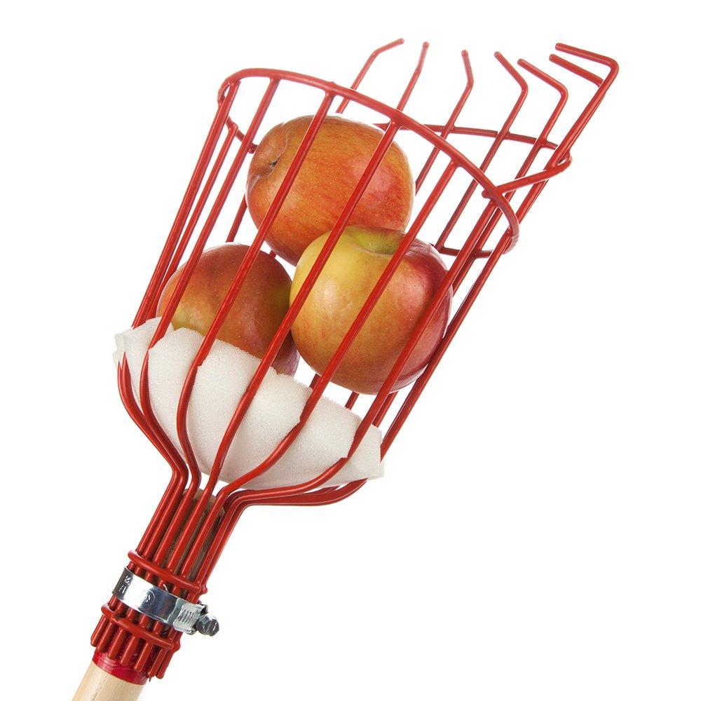 Home-X Fruit Picker Harvester Basket with Cushion to Prevent Bruising (Pole not Included) - NewNest Australia