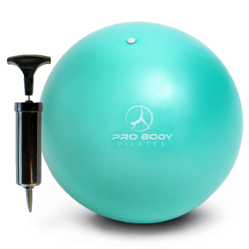 ProBody Pilates Mini Exercise Ball with Pump - 9 Inch Small Bender Ball for Stability, Barre, Pilates, Yoga, Balance, Core Training, Stretching and Physical Therapy with Workout Guide Aqua - NewNest Australia