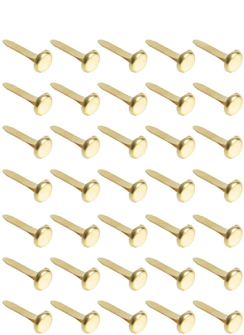 Hapy Shop Paper Fasteners,Medium 3/4-Inch Brass Plated Scrapbooking Brads Round Metal Brads for Crafts Making DIY,300 Pack - NewNest Australia