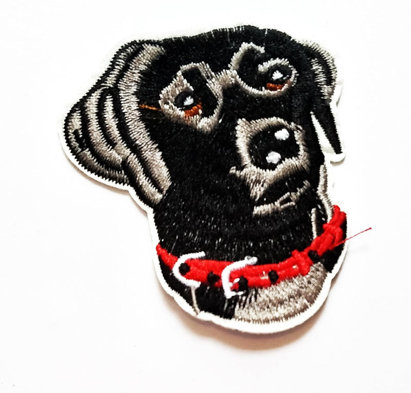 Nipitshop Patches Black Lab Labrador Cute Dog Red Collar Cartoon Kids Patch Embroidered Iron On Patch for Clothes Backpacks T-Shirt Jeans Skirt Vests Scarf Hat Bag - NewNest Australia