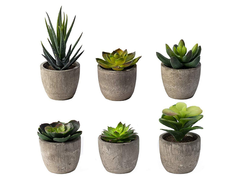 NewNest Australia - 6 Pots Small Artificial Succulent Plants Mini Fake Faux Suculentas Pot For Shelf Kitchen Counter Office Decor Tiny Miniature Desk Plant Succulents Decoration Accessories Potted Plastic Cactus Aloe Green Succulents Without Box 