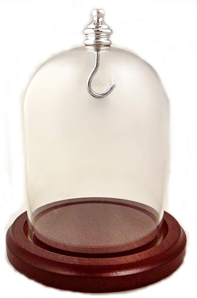 NewNest Australia - 3 x 4 Pocket Watch Glass Display Dome Cloche, Silver Knob & Hook, Walnut Stained Base 