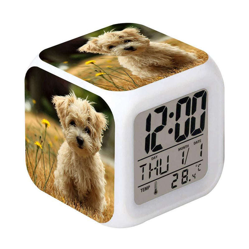 NewNest Australia - Laintone Led Alarm Clock Poodle Teddy Dog Pet Design Creative Desk Table Clock Glowing Electronic Colorful Digital Alarm 