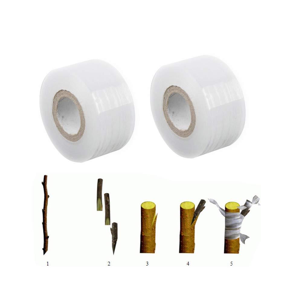 EORTA 2 Rolls Grafting Tapes Self-Adhesive Stretchable Nursery Tape Floristry Film Gardening Tools for Seedling Fruit Tree Flowers Vegetables Plants, No Knot Needed, Clear - NewNest Australia