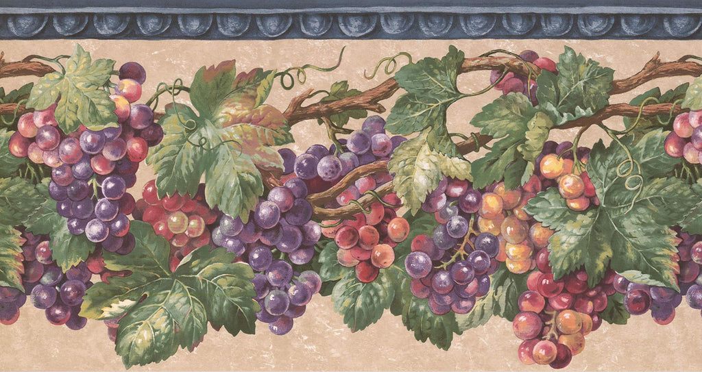 Concord Wallcoverings Classic Vine Wallpaper Border Featuring Multicolored Grapes, Colors Green Purple Orange Red, Size 10.25 Inches by 15 Feet EG022201B - NewNest Australia