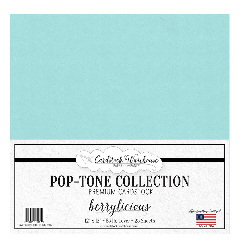 Berrylicious Blue Cardstock Paper - 12 X 12 Inch 65 Lb. Premium Cover - 25 Sheets from Cardstock Warehouse Berrylicious - NewNest Australia