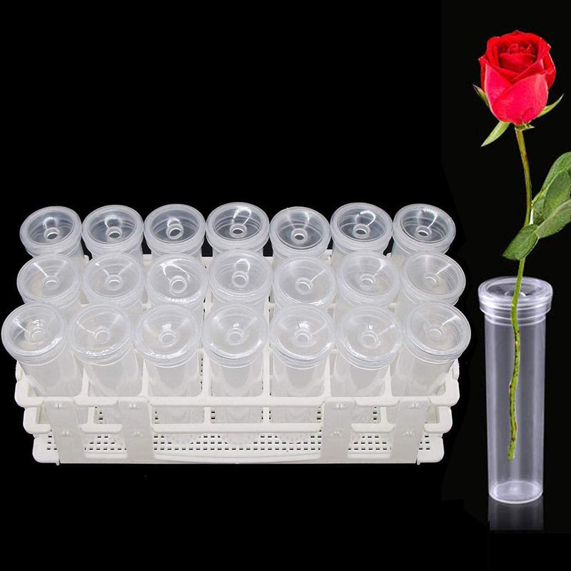 21 Pack Floral Water Tubes with Rack Holder Flower Vials Water Container for Flower Arrangements, Milkweed Cuttings 21 Pack Tubes - NewNest Australia