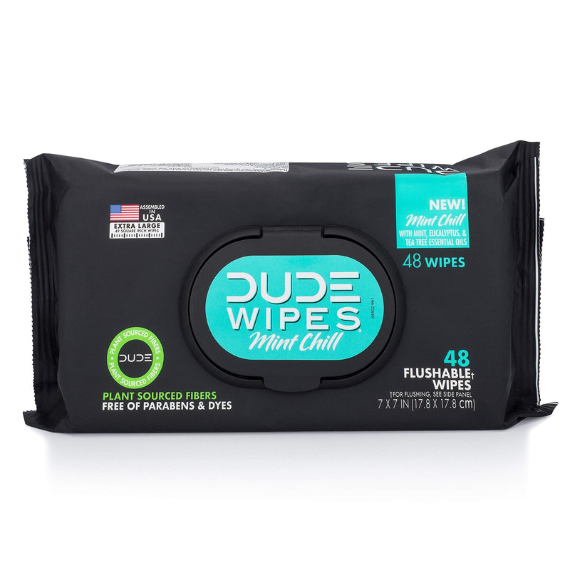 DUDE Wipes Flushable Wet Wipes Dispenser Mint Chill 48Count - Scented Wet Wipes with Vitamin-E Aloe Eucalyptus & Tea Tree Oils for at-Home Use Septic & Sewer Safe Pack of 1 - NewNest Australia