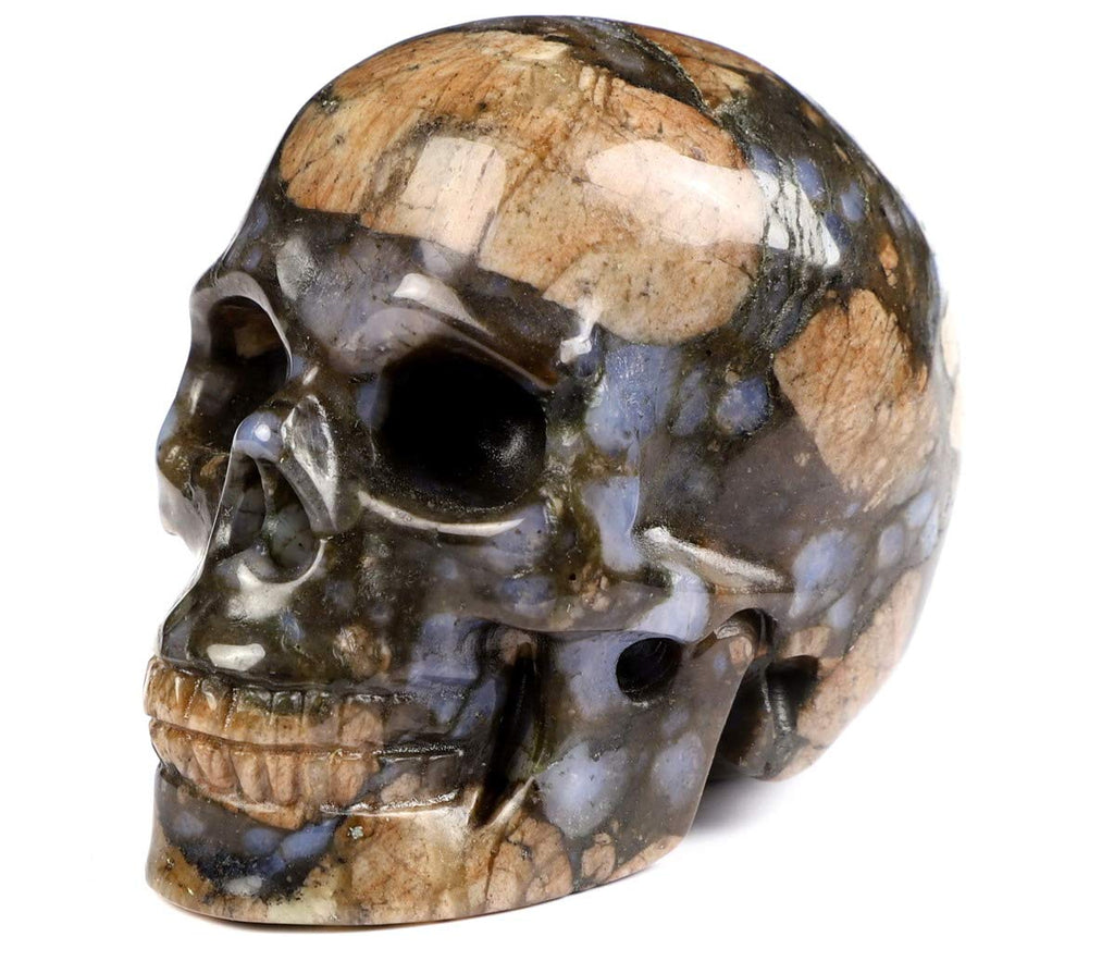 NewNest Australia - Skullis 2.0” Que Sera Stone Crystal Skull, Hand Carved Gemstone Fine Art Sculpture, Reiki Healing Stone Statue. 