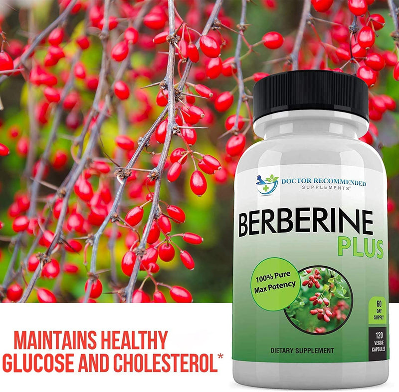 Berberine Plus 1200mg Per Serving - 120 Veggie Capsules Royal Jelly, Supports Healthy Immune System, Improves Cardiovascular Heart & Gastrointestinal Wellness - NewNest Australia
