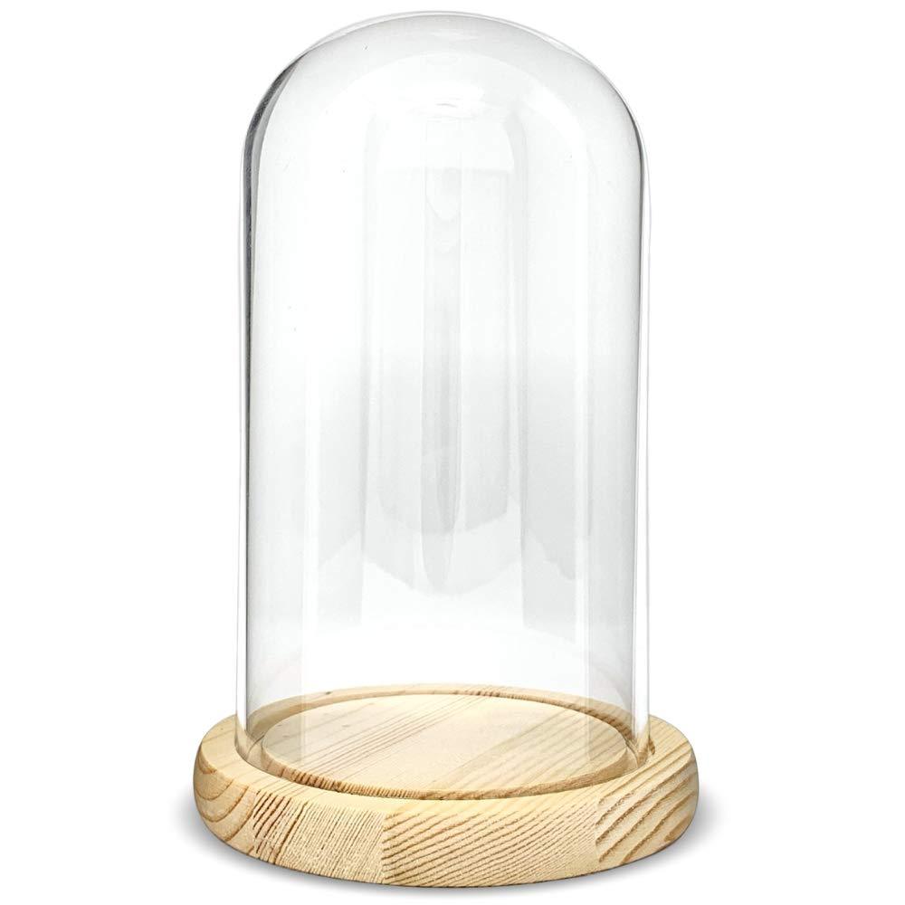 NewNest Australia - BANBERRY DESIGNS Protective Glass Display - Approx 7" X 4 3/4" inch Dome Cloche - Bell Jar Decorative Glass Cover with Natural Wood Base 