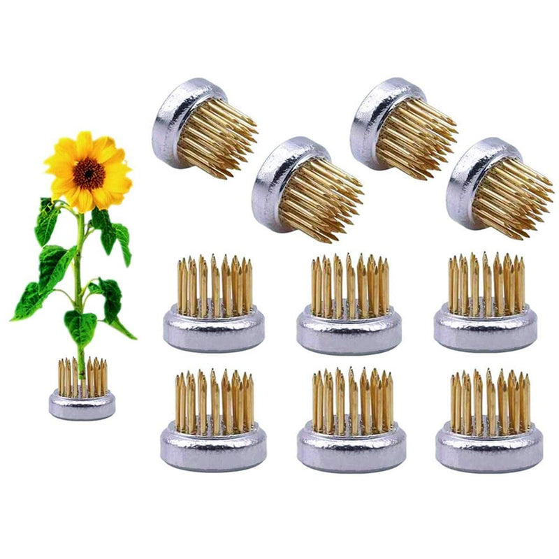 10Pcs Floral Frogs 23mm/0.9inch Round Kenzans Mini Flower Frog Pin Frog Japanese Ikebana Spiky Frog Fixed Tools Metal Flower Arranger Tool Pin Holder for Small Vase 10Pcs - NewNest Australia