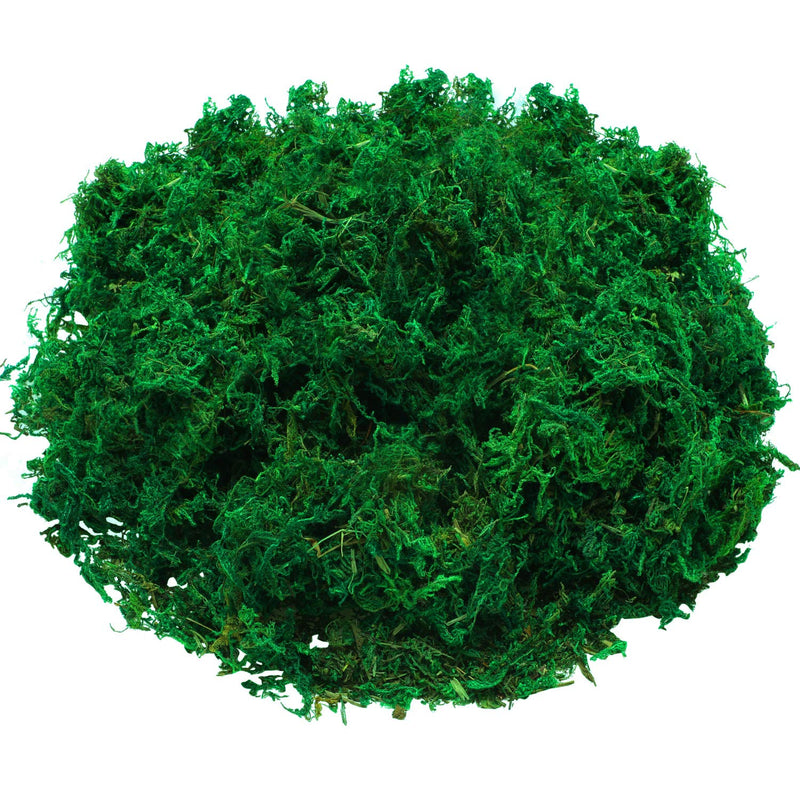 WILLBOND Artificial Moss Green Dried Moss Decorative Fake Bulk Moss for Flower Plant Garden Lawn Crafts Wedding Decoration - NewNest Australia