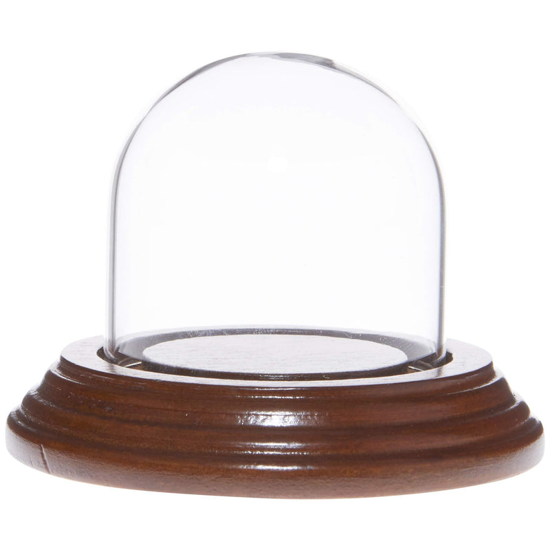 NewNest Australia - Plymor 2" x 2" Mini Glass Display Dome Cloche (Walnut Veneer Base) Walnut Veneer Base 