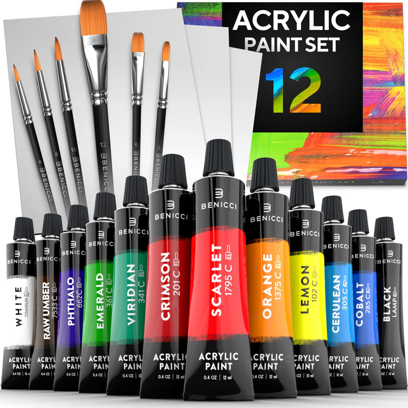 Acrylic Paint Set for Kids, Artists and Adults - 12 Vibrant Colors, 6 Brushes and 3 Paint Canvases - Perfect for Beginners or Professionals - NewNest Australia