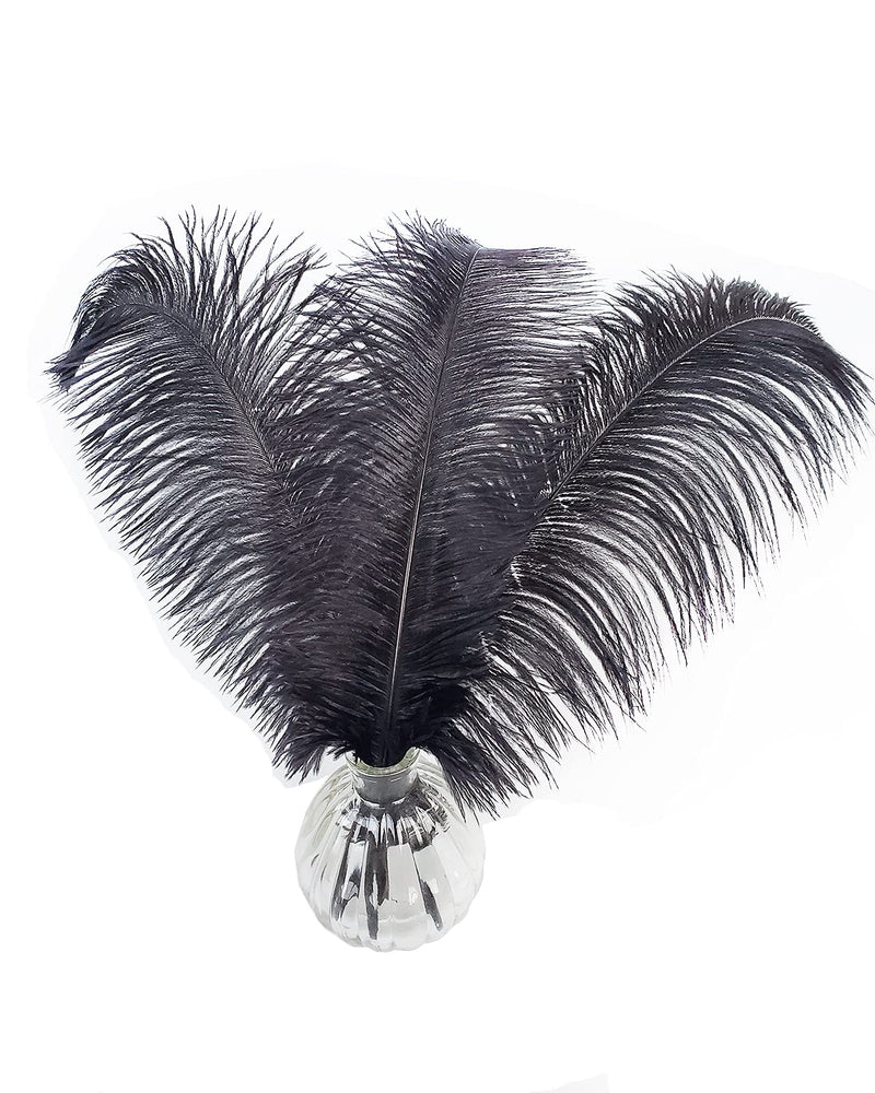 Happy Feather 16-18 inch Black Ostrich Feathers Crafts for Wedding Party Centerpieces Home Decoration DIY Craft Pack of 5 5pcs - NewNest Australia