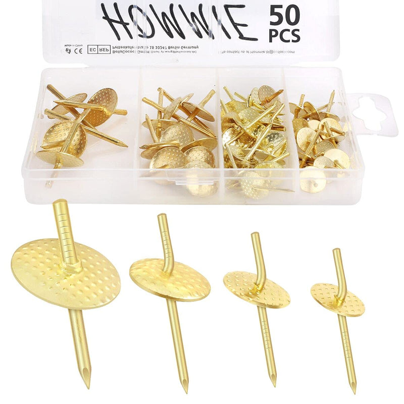 Picture Hanging Nails, Hommie Picture Hangers with10-60 lbs 50PCS Picture Hangers Hardware kit One Step Picture Hangers Nails for Drywall, Picture Frame, Canvas, Mirror Hanging Decoration 10-60bls 50pcs - NewNest Australia