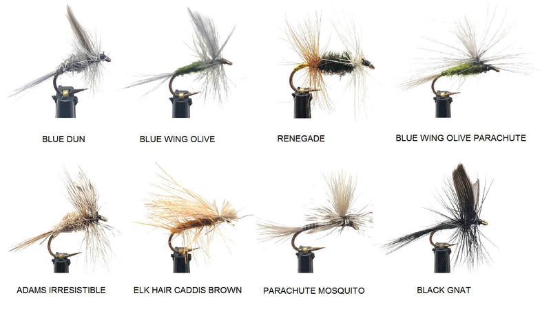 Feeder Creek Fly Fishing Assortment, 24 Dry Flies in 8 Patterns (Adams Fly, Renegade, Dun and More) for Trout, Bass and Salmon, Size 14, Includes Fly Box - NewNest Australia