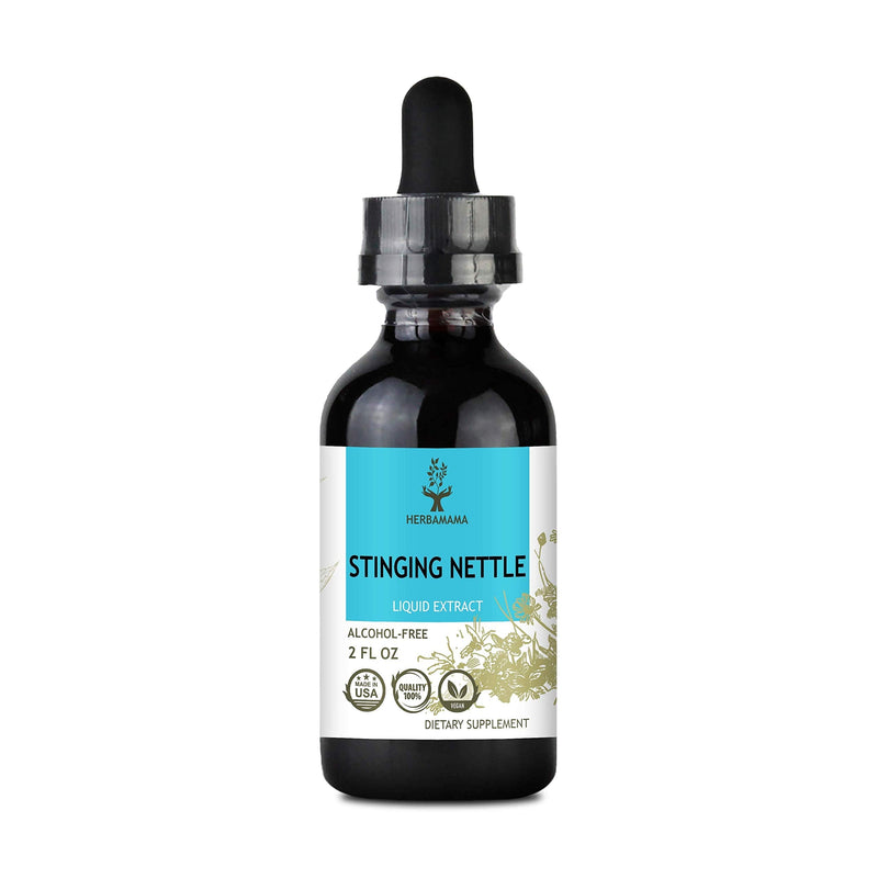 HERBAMAMA Stinging Nettle Liquid Extract - Urtica Dioica Root Diet Supplement - Natural Non-GMO Homeopathic Support - Promotes Cleansing, Pain Relief & Normal Blood Pressure Levels - 2 fl. Oz Bottle 2 Fl Oz (Pack of 1) - NewNest Australia