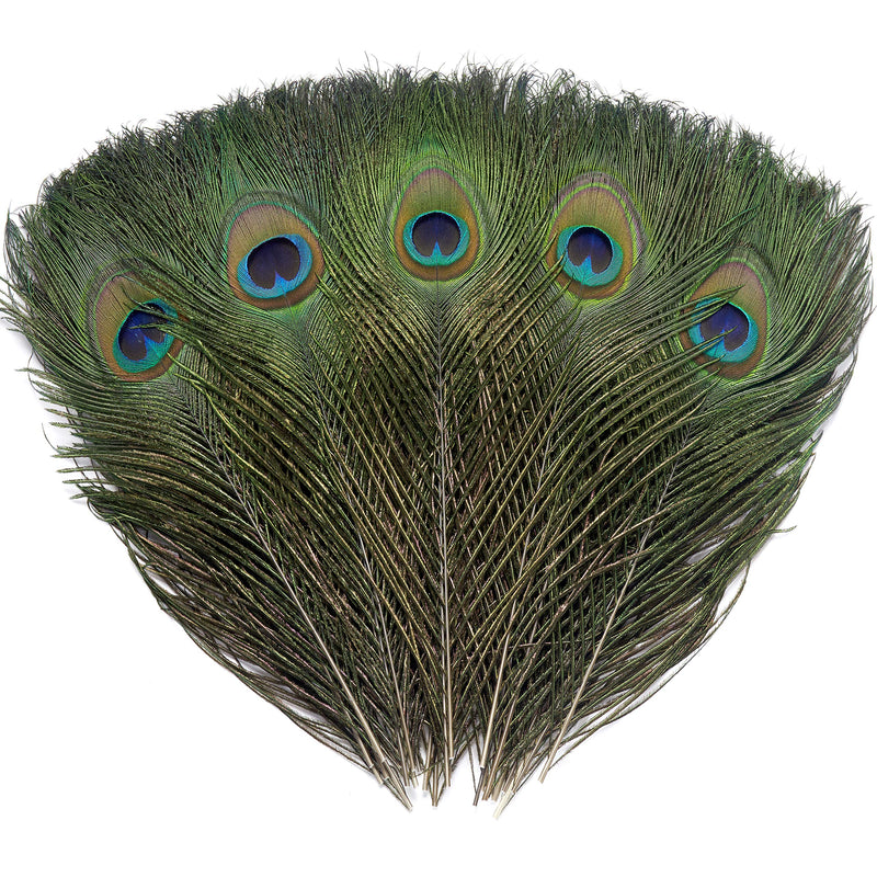 12 PCS Real Natural Peacock Eye Feathers 10-12 inch for DIY Craft, Wedding and Holiday Decorations 12 - NewNest Australia