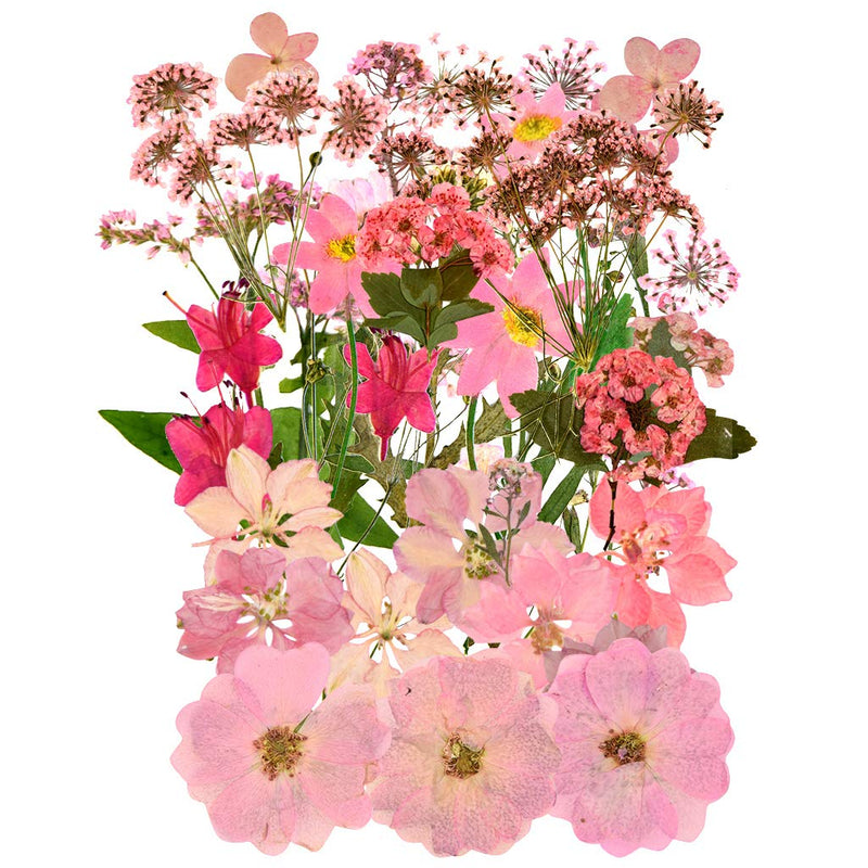 37pcs Natural Dried Flowers Mixed Multi-Color Pressed Flower Mini Rose Hydrangea Daisy for Art Craft DIY Resin Nail Art Floral Decors - NewNest Australia