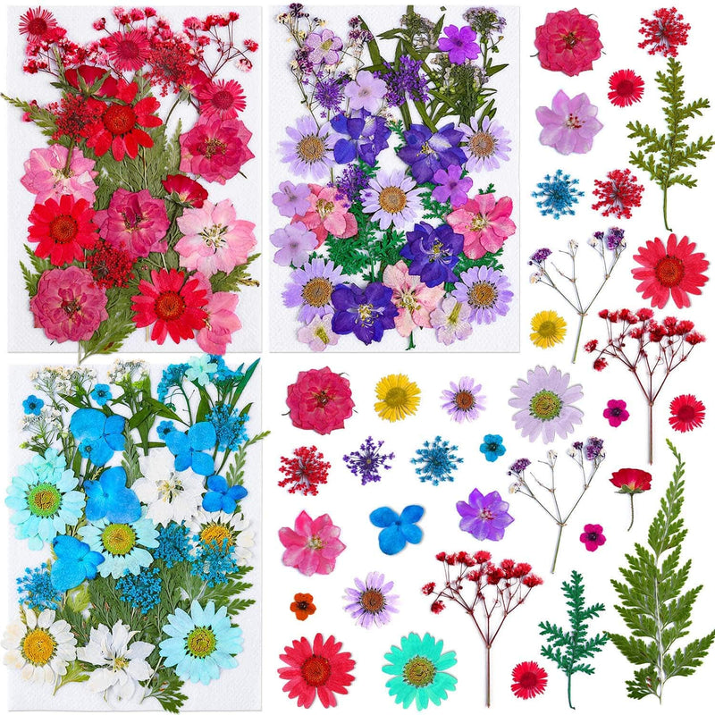 100Pcs Dried Flowers for Resin Molds, Thrilez Natural Dried Pressed Flower Herbs kit for Scrapbooking Supplies Card Making Supplies Resin Jewelry Soap and Candle Making(Blue, Purple, Red) - NewNest Australia