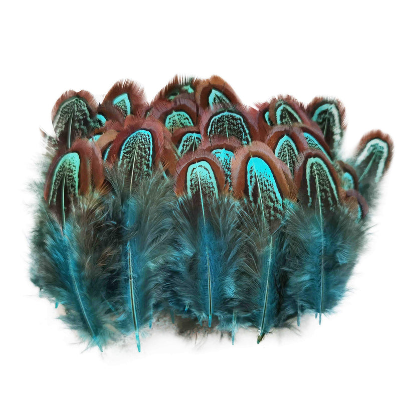 50 pcs Natural Pheasant Plumage Feathers 2-3 Inches Plumage Feathers for Sewing Crafts Clothing Decorating Accessories -Blue Blue 50pcs - NewNest Australia