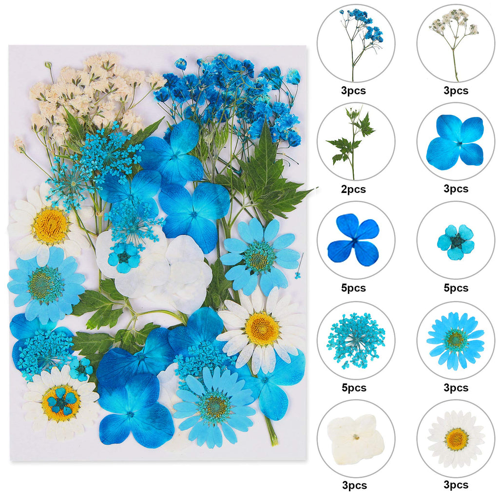 Dried Pressed Flowers, Natural Dried Flowers, Real Pressed Flowers, Colorful Dry Flowers for Resin Jewelry Nail Art Craft DIY (Blue) Blue - NewNest Australia