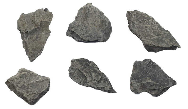 6PK Raw Carbonaceous Shale, Sedimentary Rock Specimens - Approx. 1" - Geologist Selected & Hand Processed - Great for Science Classrooms - Class Pack - Eisco Labs 6 - NewNest Australia