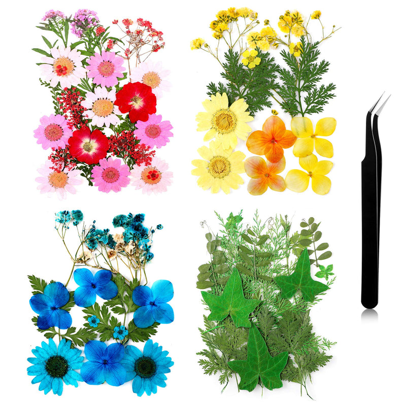 Pressed Flowers Resin Flowers for Resin Mold, Real Daisy Dried Flower Leaves Natural with Tweezers for Scrapbooking DIY Candle Accessories Jewelry Crafts Making (Colorful Style) Blue, Red, Yellow, Green - NewNest Australia