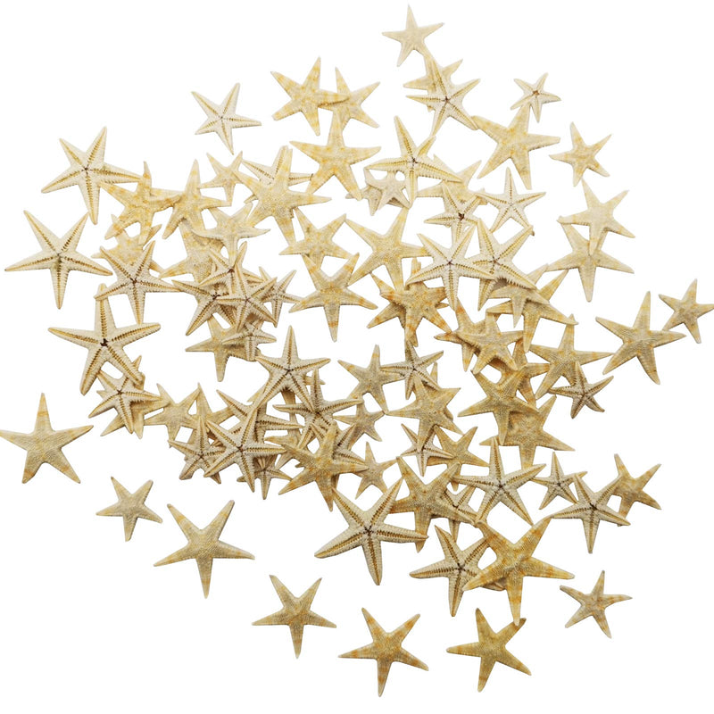 RONYOUNG 90PCS Small Starfish Star Sea Shell Beach Craft 0.4"-1.2" - NewNest Australia