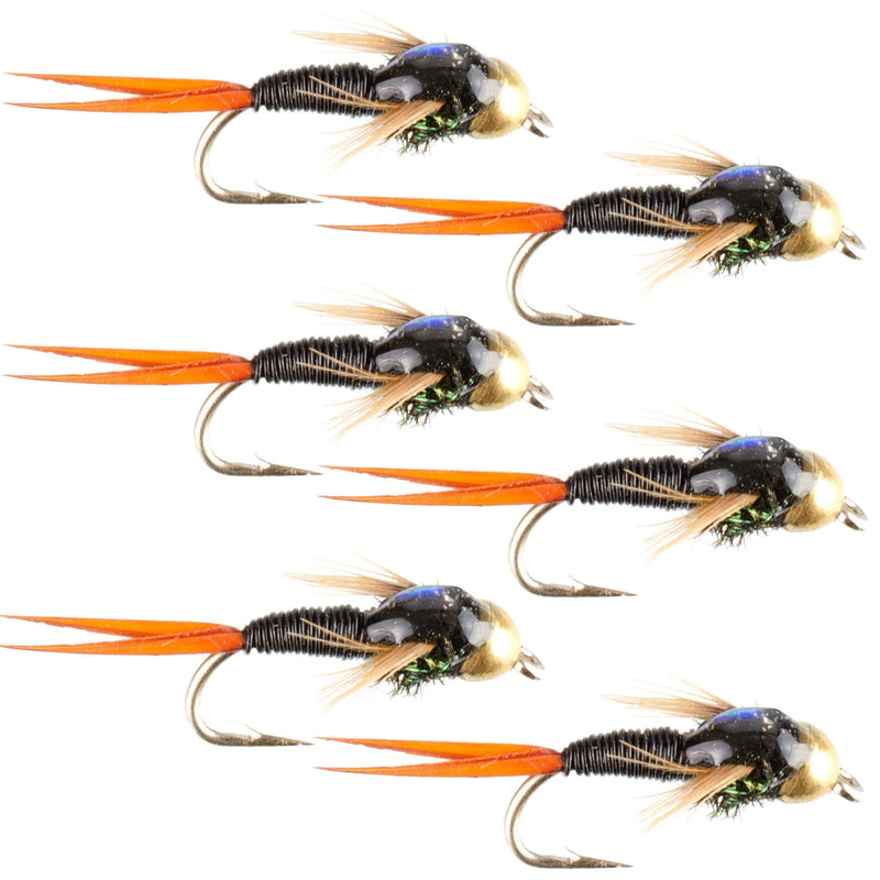 The Fly Fishing Place Bead Head Black Copper John Nymph Fly Fishing Flies - Set of 6 Flies Hook Size 16 - NewNest Australia