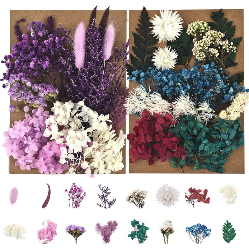 Dried Pressed Flowers for Soap Candle Making and Resin Jewelry Making Pressed Flower (Purple Blue Set) A-blue purple - NewNest Australia