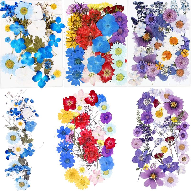 BIHRTC 100PCS Dried Pressed Leaf Flowers Natural Pressed Died Leaves Sunflowers Chrysanthemum Daisy Flowers Multiple Dry Flower for Craft Resin Jewelry Making Soap and Candle Making DIY Blue Purple - NewNest Australia