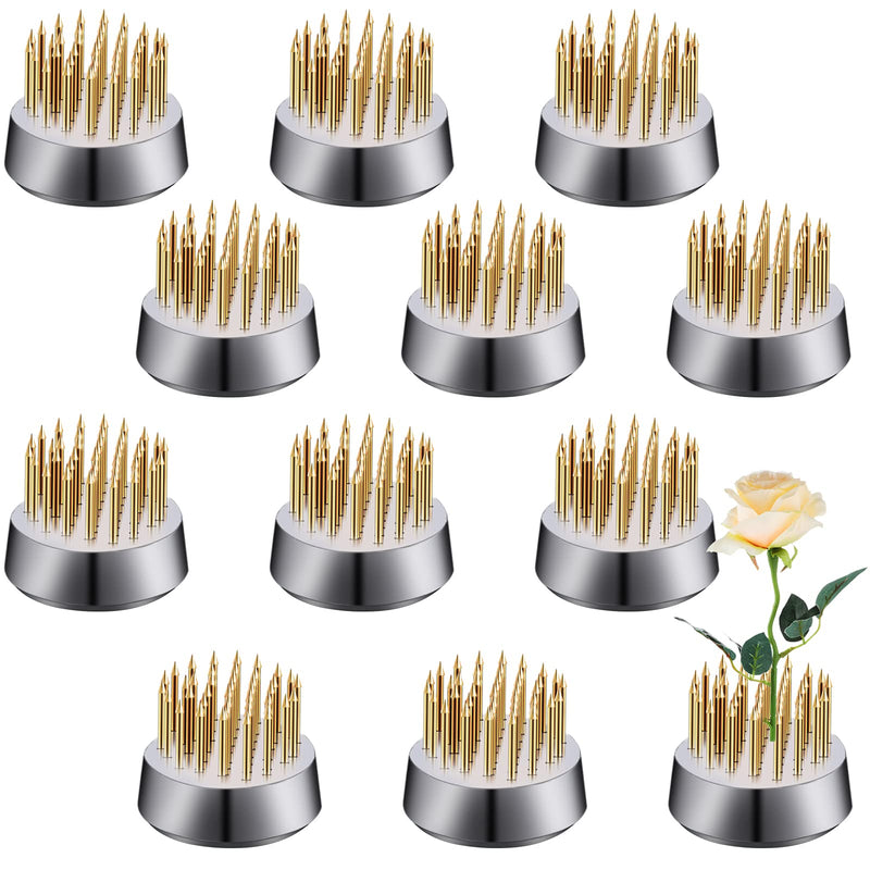 12 Pieces Flower Holder Floral Round Flower Arranger Flower Fixed Flower Pin Holder Tool Floral Arrangement Pin Holder Japanese Flower Holder for Flower Arrangement, Plant Fixation, Plant Decoration - NewNest Australia