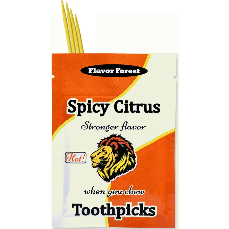 Spicy Citrus Flavored Cinnamon Toothpicks - 100ct - NewNest Australia