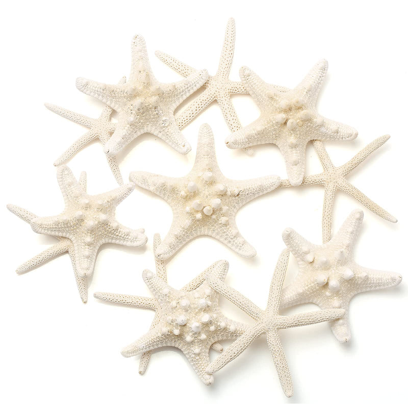 Maicodes 12 PCS Starfish | 2.5-6 Inch Starfish Decor | Natural Bulk Starfish Shells Perfect for Crafts Making Beach Theme Party Wedding Decoration, Home Wall Decor, Christmas Ornaments, Fish Tank - NewNest Australia