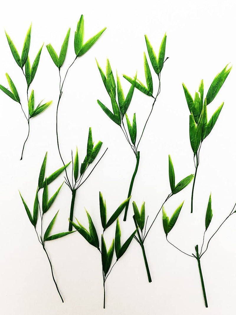 UOKWIWI 16 pcs Green Bamboo Leaf Real Natural Dried Pressed Flowers for Resin Art Craft DIY - NewNest Australia