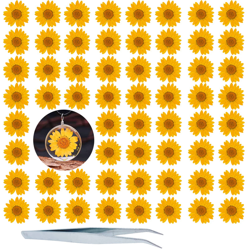 HEISENLIN Dried Pressed Flowers, 60 PCS Orange Natural Real Pressed Dried Daisy Flowers, Dry Flowers with Tweezers for Resin Scrapbooking DIY Candle Decor Jewelry Soap Crafts Making Daisy-Orange - NewNest Australia