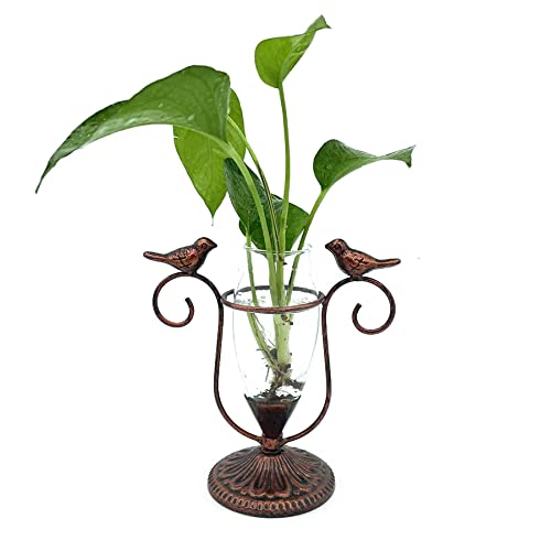 POXOHO Desktop Plant Terrarium, Iron Bird Art Glass Propagation Vase, Propagation Planters with Vintage Metal Frame, Suitable for Decoration of Desktop Hydroponic Plants in Office and Living Room - NewNest Australia