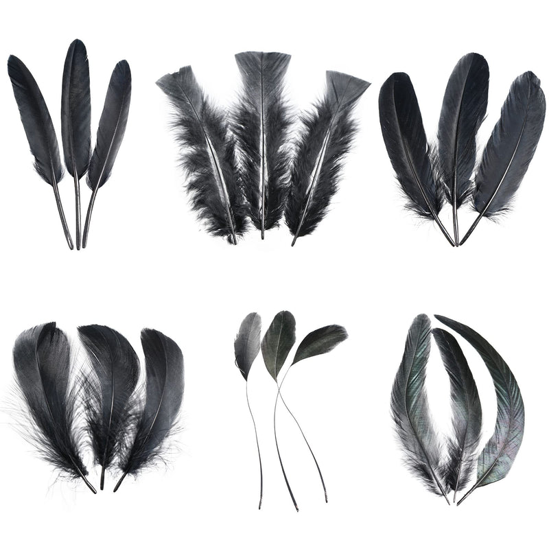Larryhot Black Craft Feathers Bulk - 240pcs 6 Style Mixed Natural Feathers for Wedding Home Party, Dream Catcher Supplies and DIY Crafts (Black) - NewNest Australia