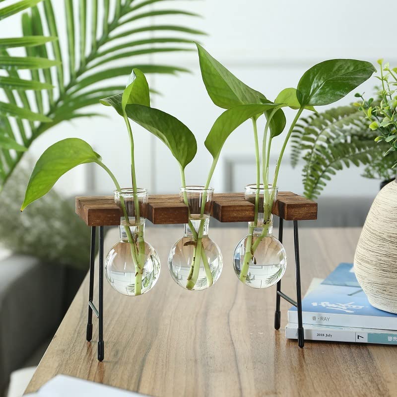 KEANVIK Desktop Ornaments Glass Plant Terrarium, Plant Propagation Station with 3 Bulb Glass Vases for Hydroponics Plants Home Office Garden Decoration - NewNest Australia