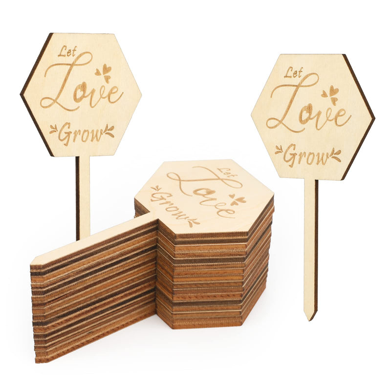 KINGLAKE 24 Pcs Let Love Grow Succulent Tags,Wedding Favor Tags,Cute Wood Plant Labels - NewNest Australia