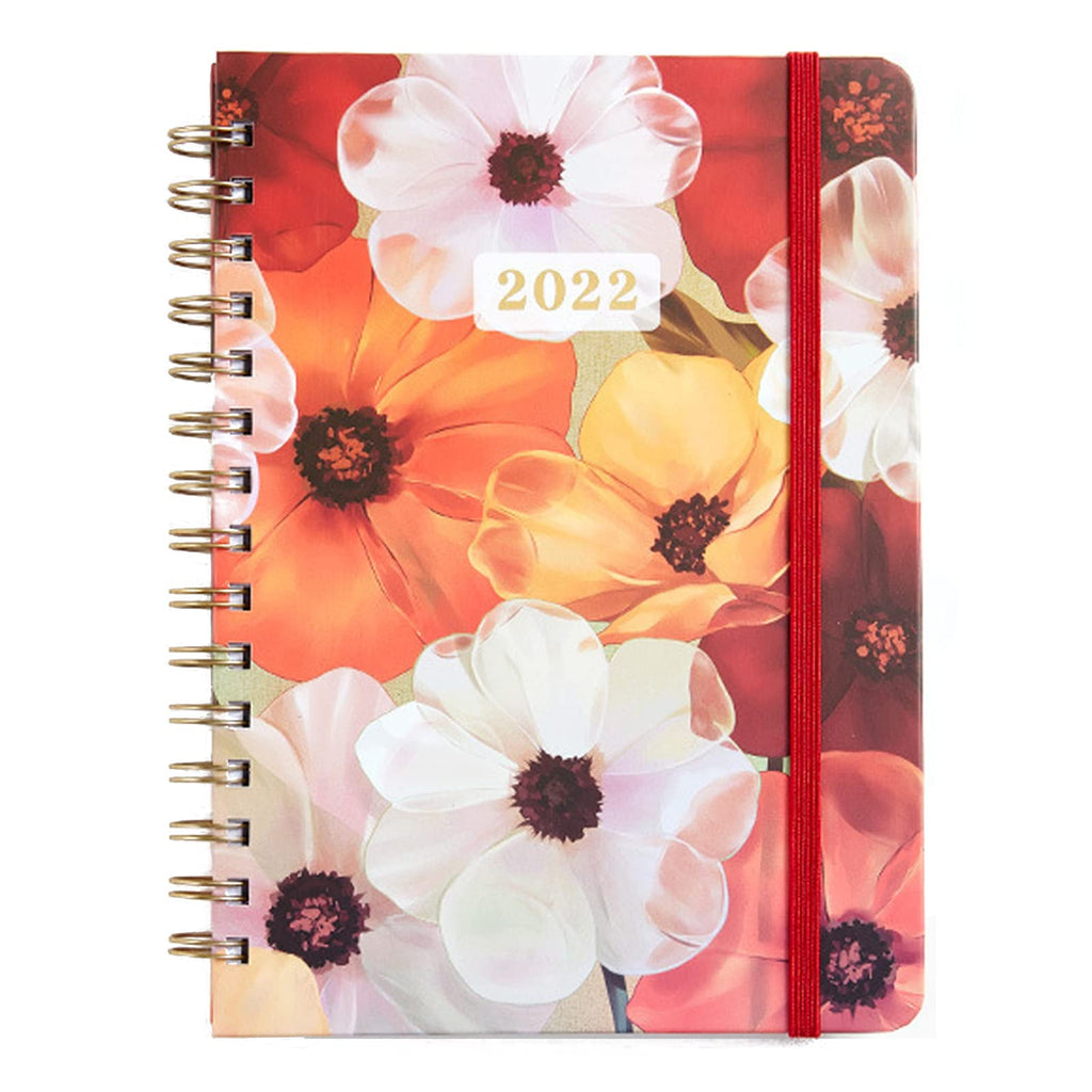 2022 Monthly Planner, Weekly Agenda Hardcover Planner, A5 Budget Planner and Bill Organizer, Happy, Goal and Passion 5 Minute Journal, 6.3"x 8.4" Calendars Jan 2022 - Dec 2022 Daily To-Do List 2022-A - NewNest Australia