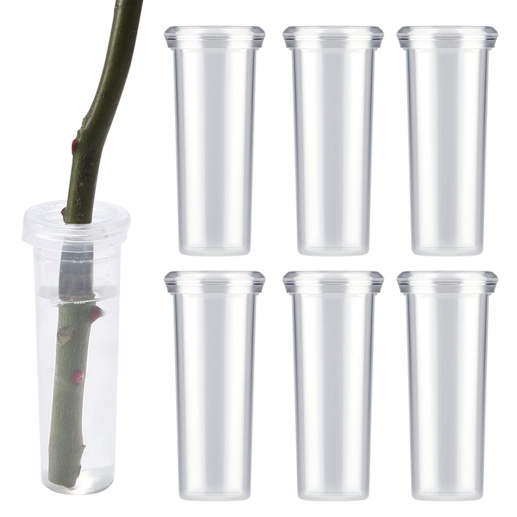 AIEX 6pcs 60ml Flower Water Tubes with Lid, Large Plastic Floral Water Tubes, Flower Tubes for Fresh Flowers Sunflower Milkweed Cutting Arrangement 4.1x1.8inch/10.8x3.6cm (Transparent) - NewNest Australia