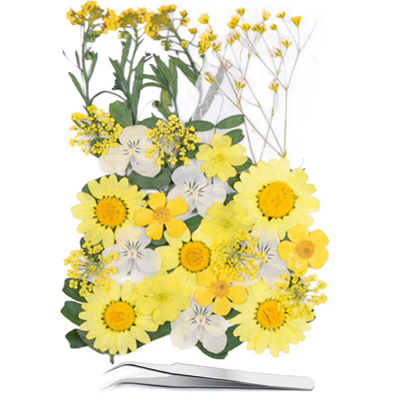 YouthBro Yellow Dried Pressed Flowers for Resin Molds,Real Natural Pressed Flowers for DIY Art Crafts,Candle Making, Nails Décor,Soap Making, Phone Case - NewNest Australia
