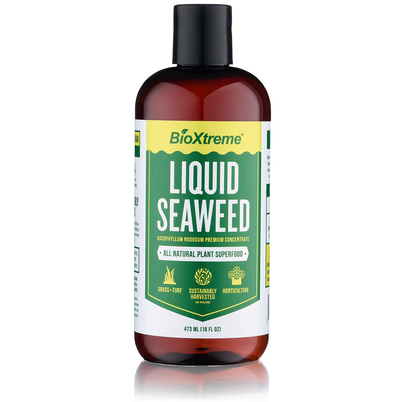 BIOXTREME Natural Liquid Seaweed Concentrate Helps to Increase Crop Yields, Plant Stress Resistance, Root Growth & Plant Development, Nutrient Uptake - 16 FL OZ - NewNest Australia