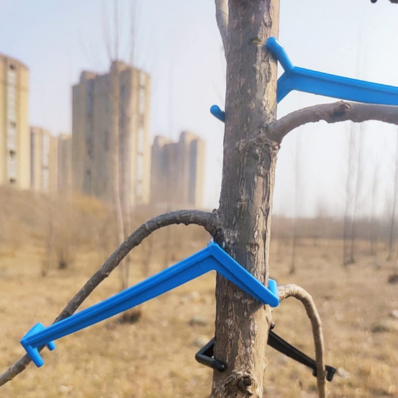 Cunguv 50Pieces Tree Spreaders Fruit Tree Branch Spreader Apple Tree Limb Spreaders for Fruit Tree,Blue Blue 50pieces - NewNest Australia